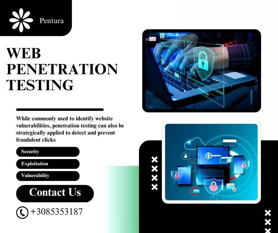 Web Penetration Testing